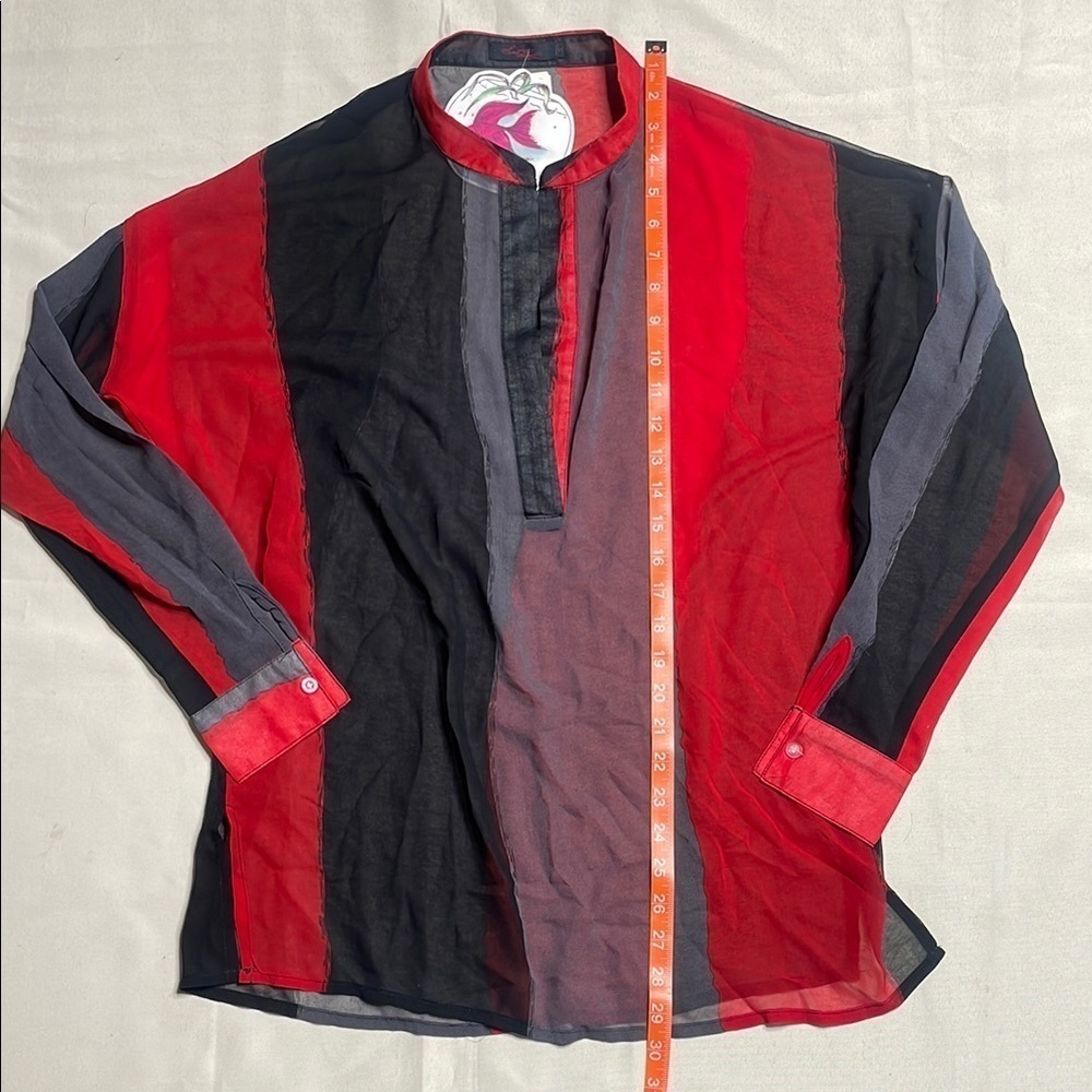 Red and Gray Sheer Blouse - Picture 5 of 11
